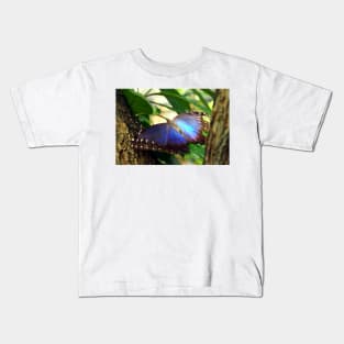 Purple and Blue Butterfly in Tree Kids T-Shirt